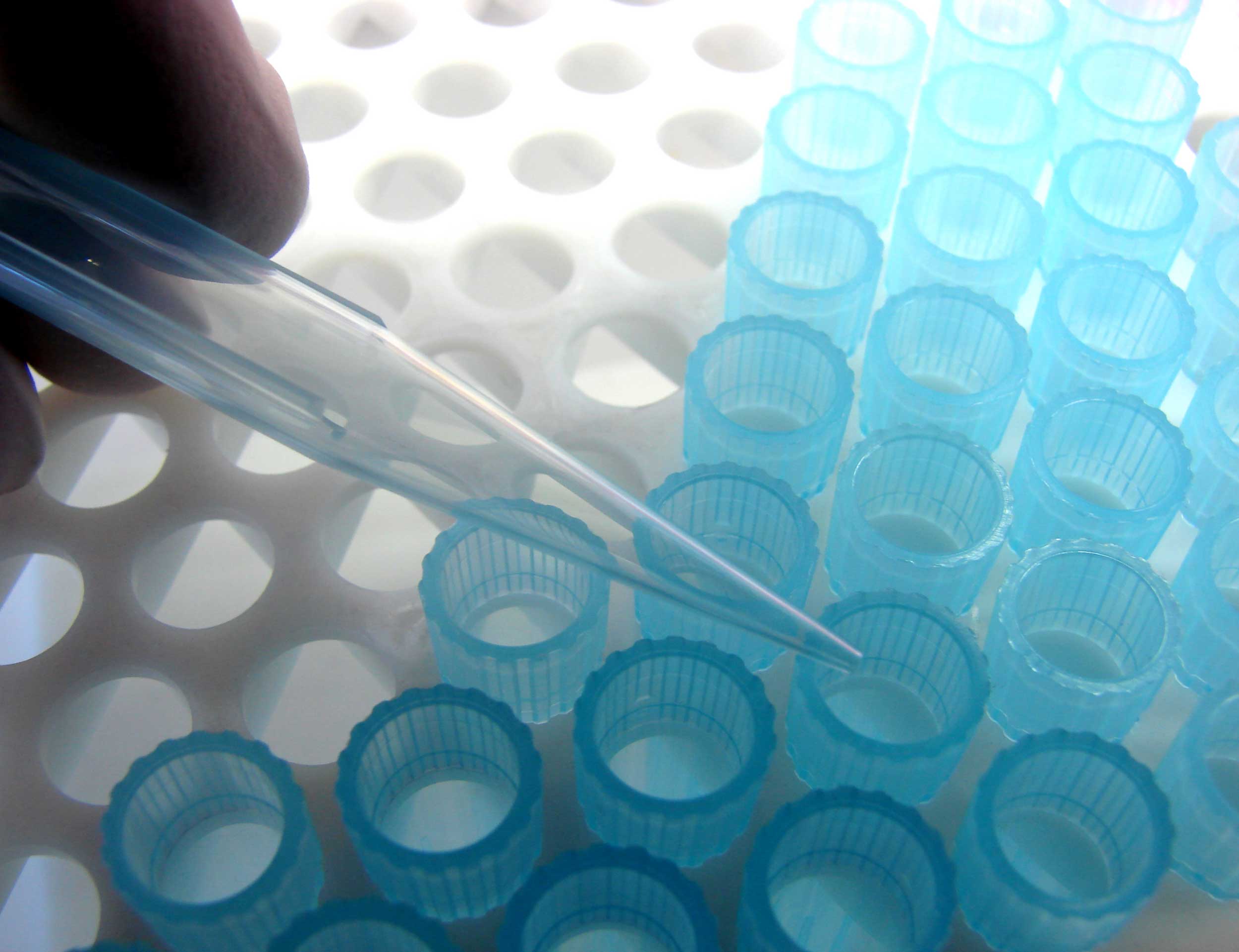 Bioassay Quantics Biostatistics