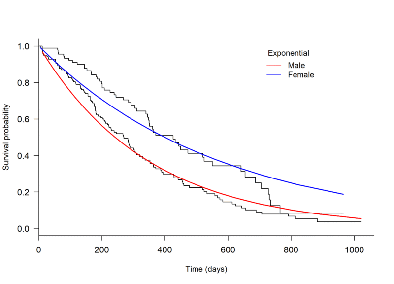 model_plot_ exp
