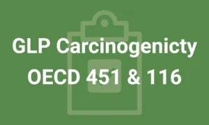 Understanding GLP Carcinogenicity Studies: OECD 451 & 116