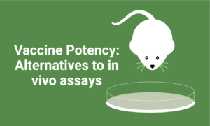 In Vitro vs In Vivo Potency Assays: Modern Vaccine Batch Release