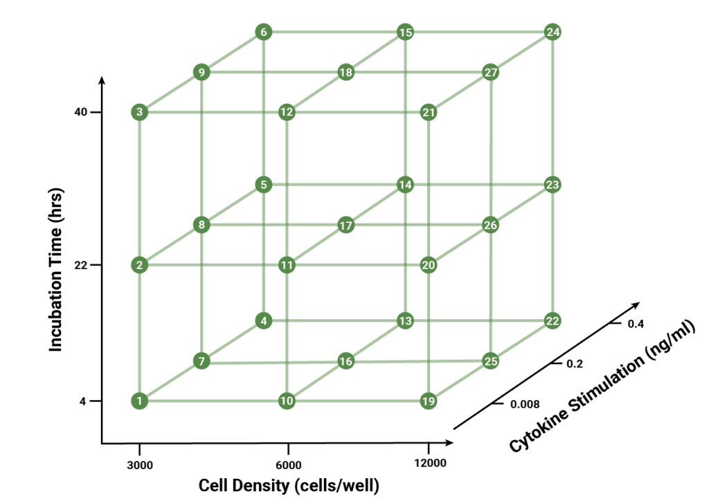 DoE: Design Space by Run