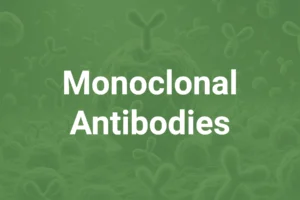 A Statistical Understanding of Polyclonality in Monoclonal Antibody Production