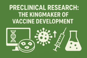 Preclinical Research: The Kingmaker of Vaccine Development